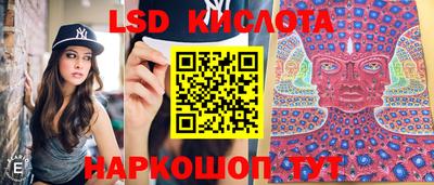 ГАЛЛЮЦИНОГЕННЫЕ ГРИБЫ Кимры