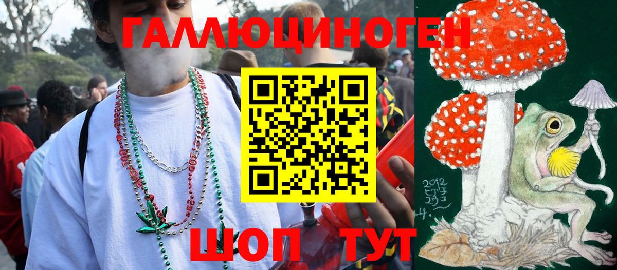 Галлюциногенные грибы Magic Shrooms  Галлюциногенные грибы мухоморы  Вход с VPN  Камышлов 